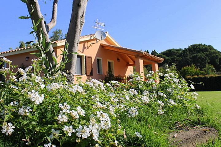 Il Melograno Di Nora Bed & Breakfast Pula Dış mekan fotoğraf